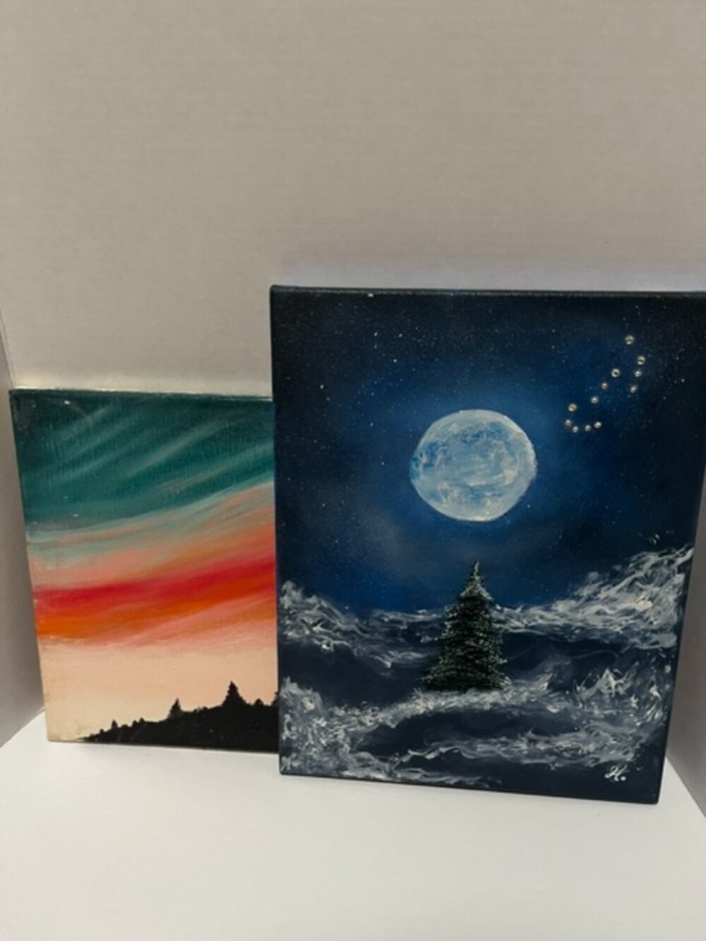 canvas paintings 14 X 11  set of 2  These are used but in great condition  f